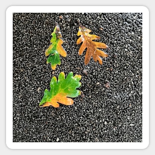 Rainy Leaves on Black Terrazzo Background Sticker